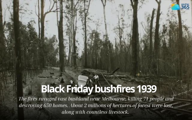 The Black Friday bushfires in 1939