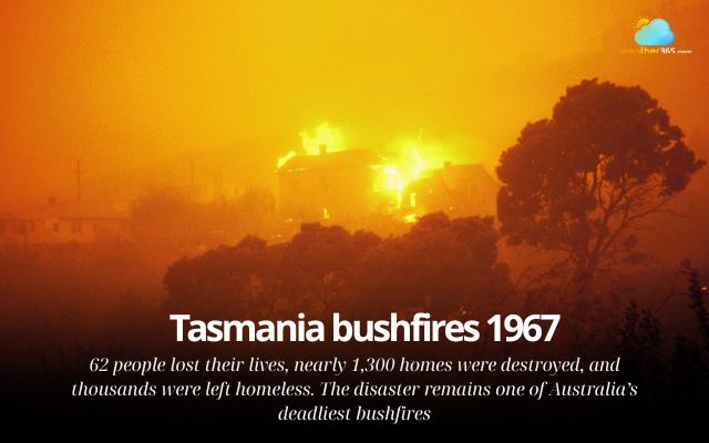 The Tasmania bushfires in 1967