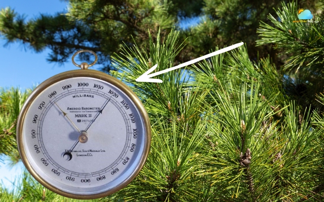 Read the current pressure on the dial