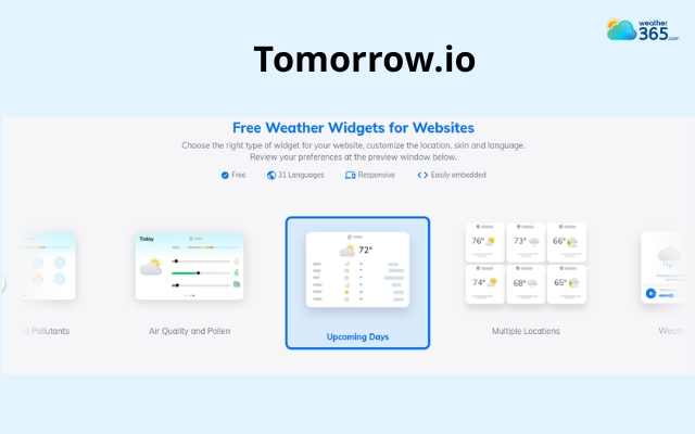 Tomorrow.io is often used in professional environment