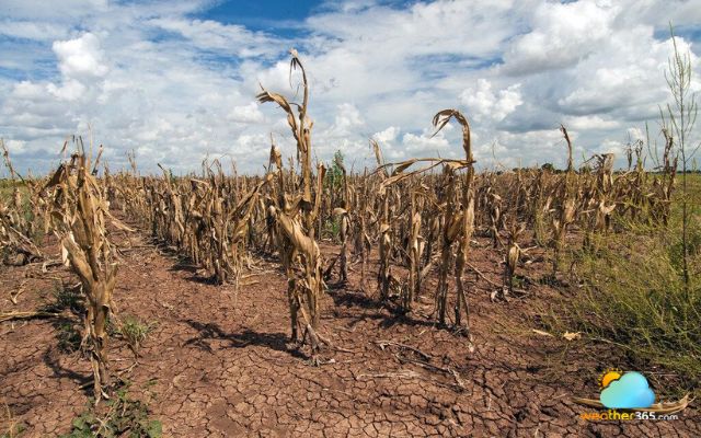 Super El Nino can raise concerns about food security