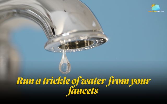 Run a trickle of water from faucets to avoid pipe bursts