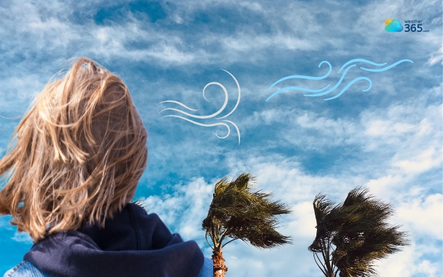 The wind distributes heat and moisture