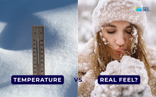 The feel-like temperature shows actually feels on human skin