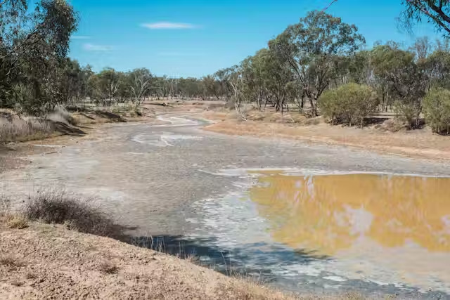 Climate change disrupts weather patterns, and droughts are more prone to occur