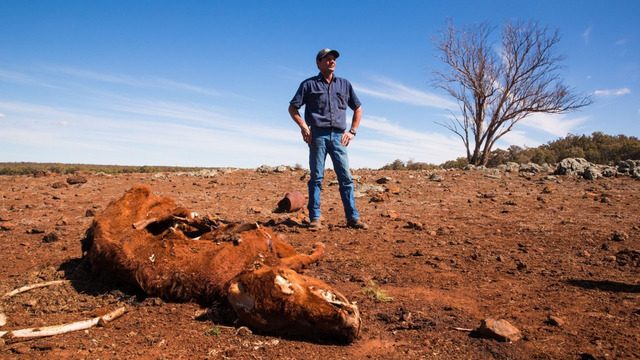  Human-caused climate change contributed to 46% of the severity of the megadrought