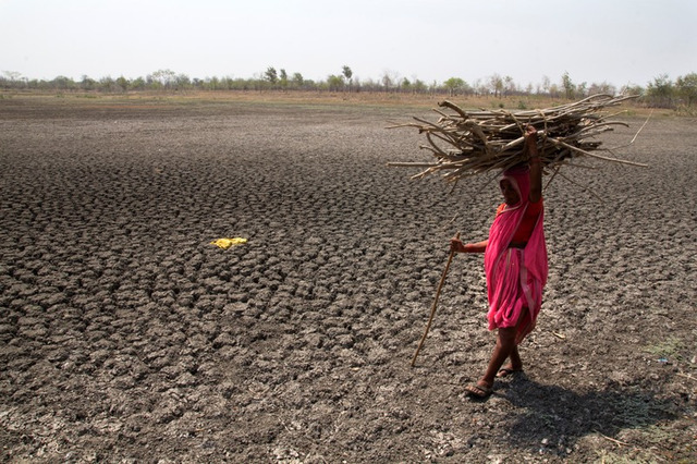  Climate change degrades soil and dries up vegetables