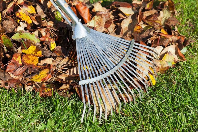 Using a broom to sweep leaves on the streets