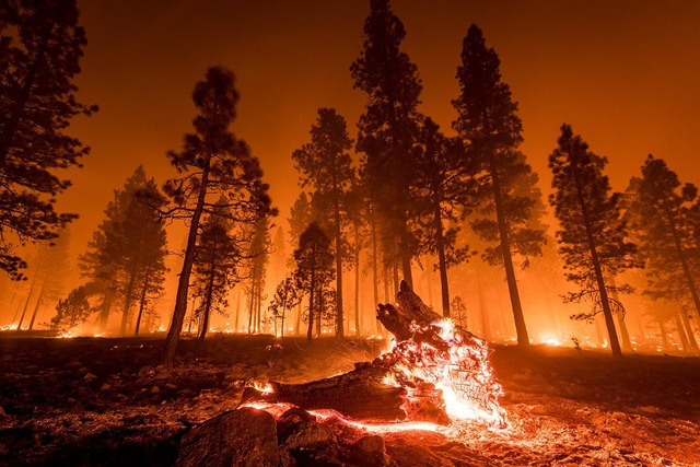 Dry conditions lead to droughts and wildfires