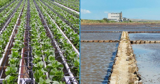  Ways to prevent droughts