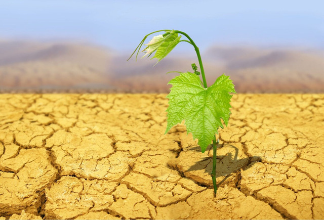  We need to take action together to prevent droughts