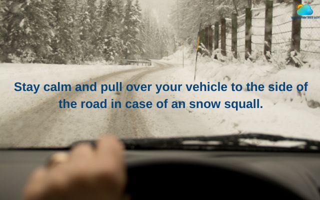 If visibility becomes near zero, pull over safely to the side of the road