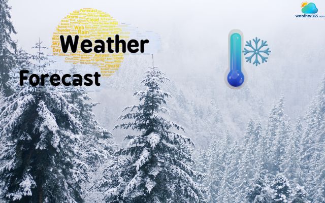  Stay updated with weather forecasts