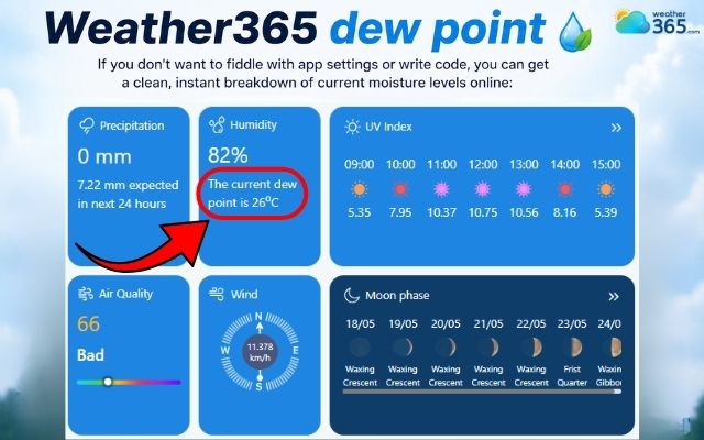 Check the dew point on Weather365