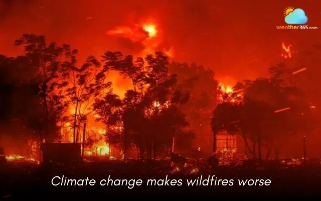 Climate change makes wildfires in Canada worse