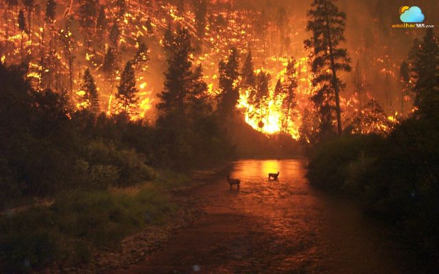 Fire weather zone forecast helps track wildfire risks across borders