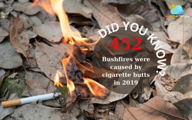 Cigarette butts can lead to dangerous fires 