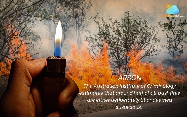 Arson accounts for the majority of the common causes of Australian bushfires