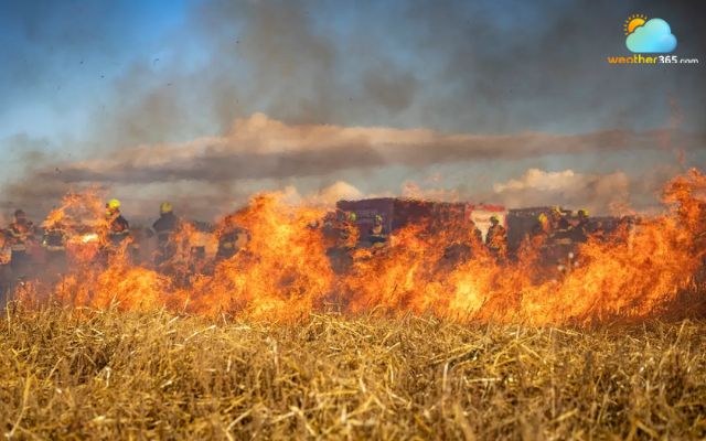 Wildfires can move at an average rate of 14 mph