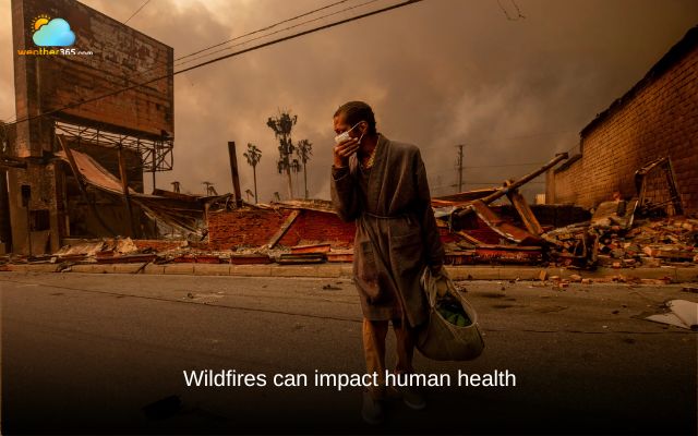 The impact of Australian bushfires on human health is profound