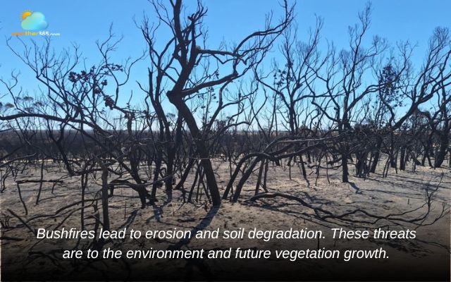 Bushfires lead to erosion and soil degradation