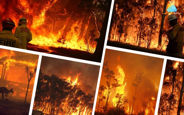 Australia is the most fire-prone country on Earth