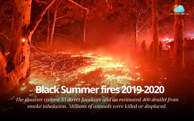 The Black Summer fires in 2019-2020