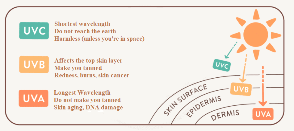 3 compositions of UV rays