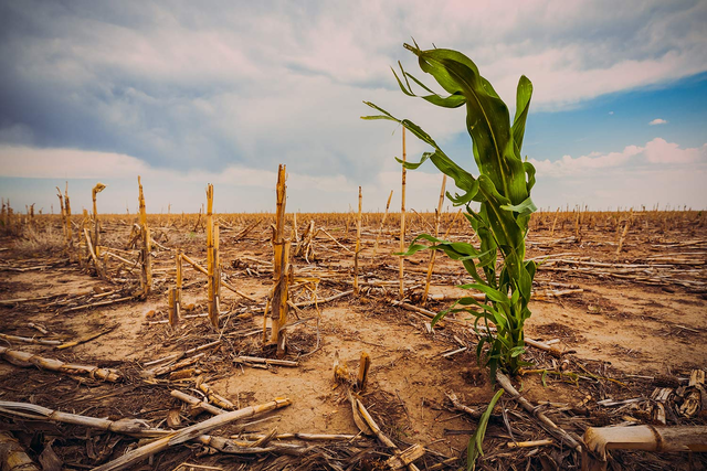 Water shortage can threaten global food security