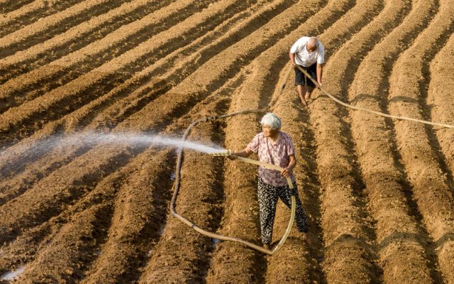Is a heat wave dangerous?