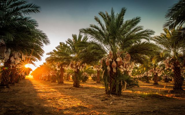  Yuma is one of the hottest big cities in the US