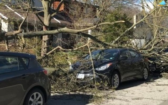  Windstorm in Ontario, Canada