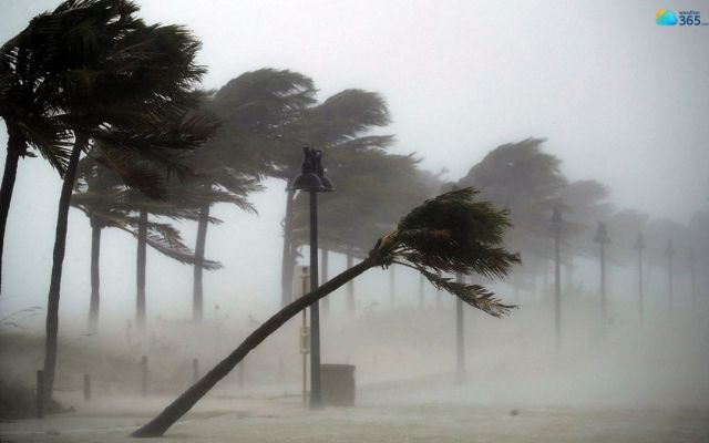  What is a Windstorm?