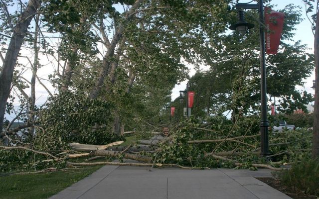  Windstorm in Central Alberta