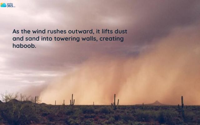  A haboob in Arizona
