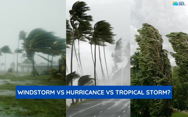 Difference among Windstorm, Hurricane, and Tropical Storm