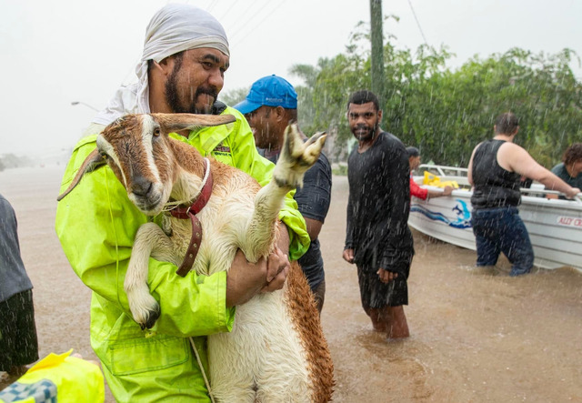  Move pets and livestock to a safer area before a flood
