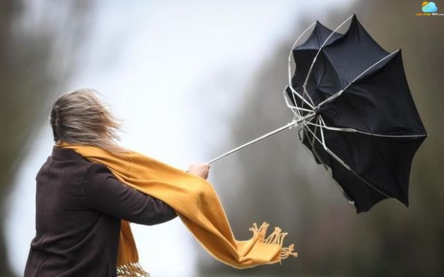 Finding shelter while being outside in high winds