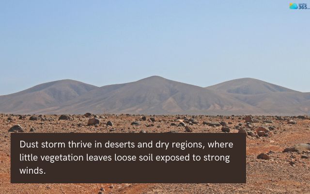 Lack of vegetation leaves soil exposed and fuels massive dust storms