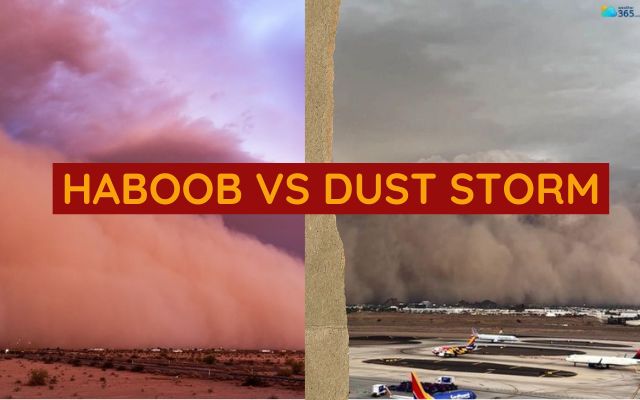 What is the difference between a haboob and a dust storm?