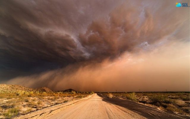 A haboob in Arizona