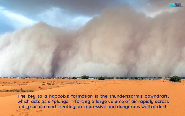  How A Haboob Forms