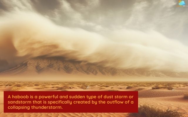  What is a haboob storm?