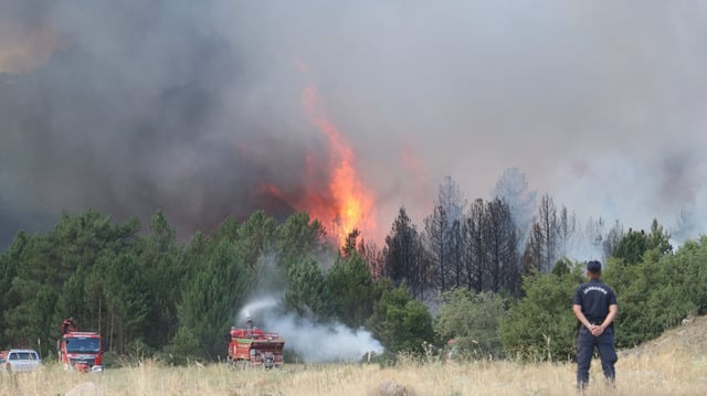  A firefighter looks on during a fight against wildfires in Seyitgazi, Eskisehir, Turkey