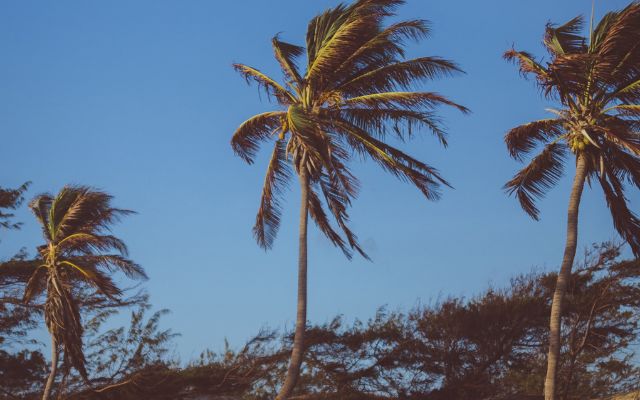  Light winds and minimal wind shear 