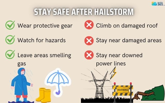  Do and don’t do after a hailstorm