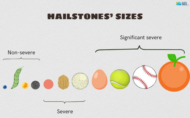 Hailstones’ size range widely