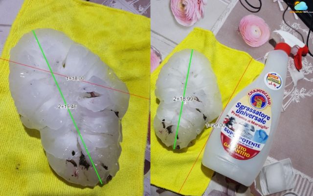  Hailstone in Azzano Decimo, Italy 2023