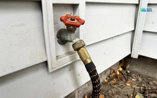 Disconnect the hose to prevent the pipe from freezing