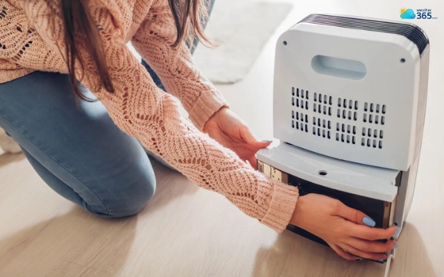 Use a dehumidifier to reduce condensation inside the house